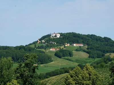 Ausblick zur Burg Kapfenstein